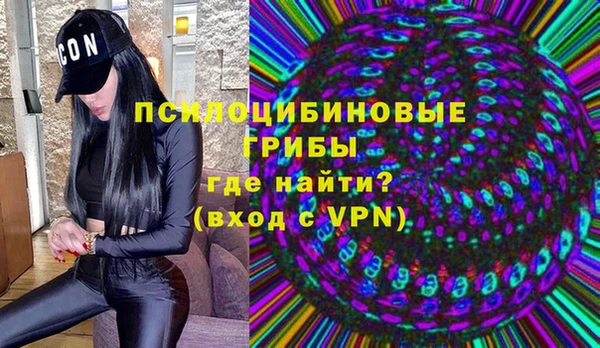 кокс Алексин