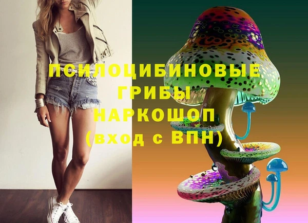 кокс Алексин