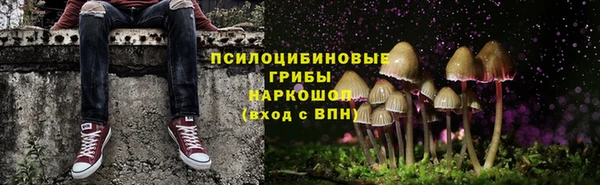 mix Горнозаводск