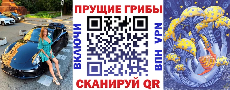 как найти закладки  Киселёвск  Псилоцибиновые грибы прущие грибы 