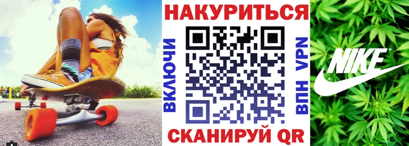 Шишки марихуана гибрид  где найти наркотики  Киселёвск 